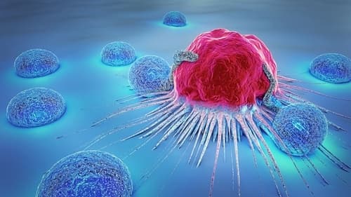 Tapestri Targeted RNA Profiling Rivals Whole-Transcriptome Cell Type Identification