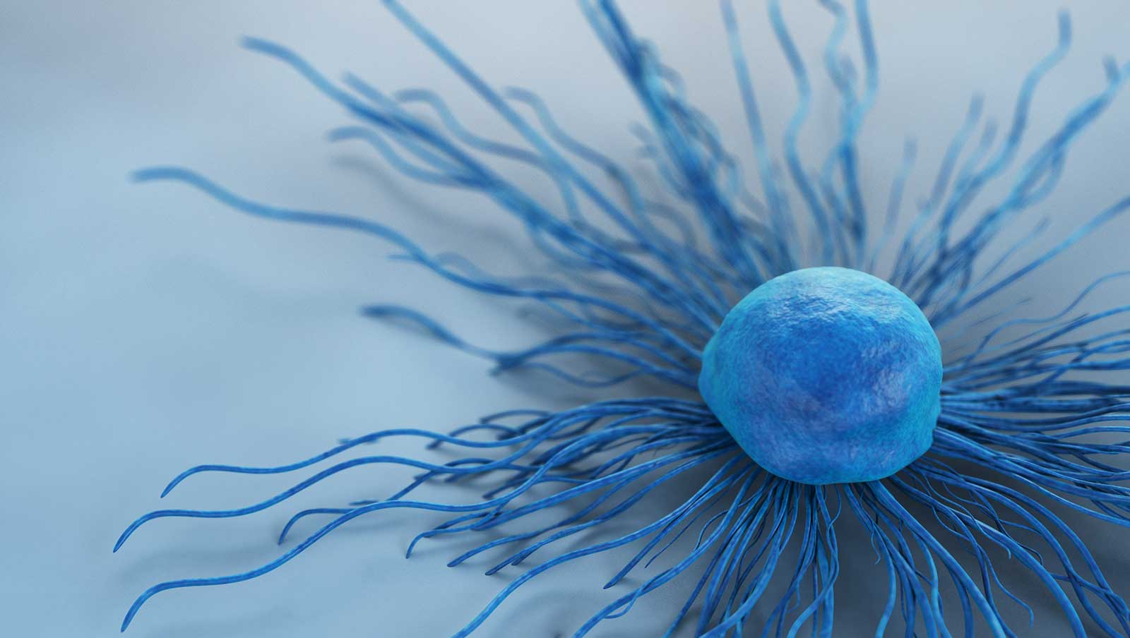 Single-Cell Sequencing Vol 2: The Essentials
