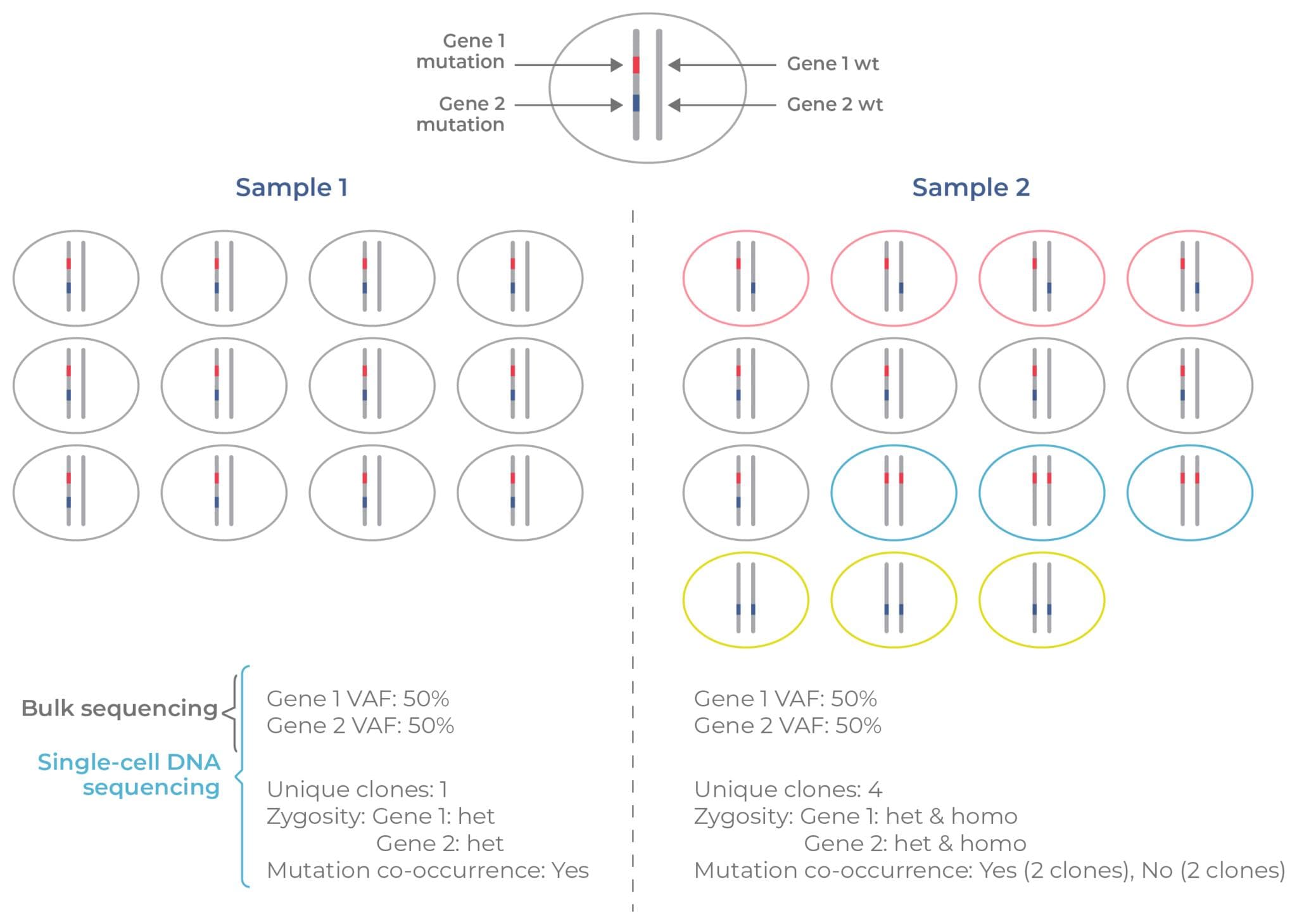 Figure 4. Bulk vs single-cell information on clonal structure.