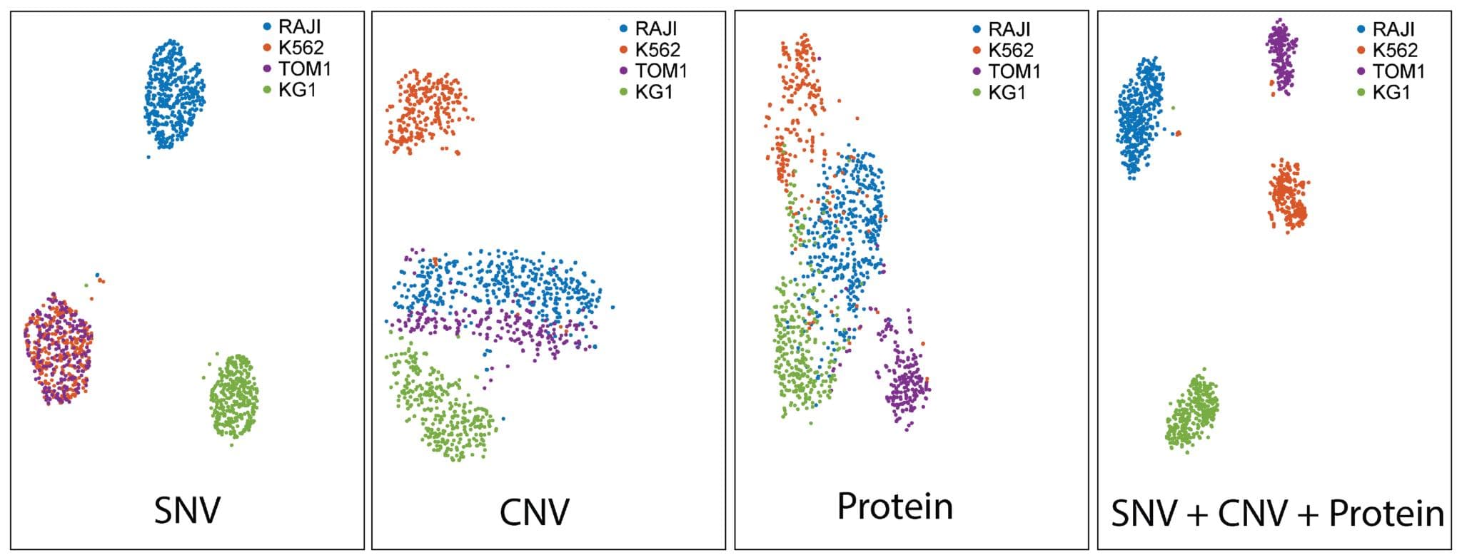 Figure 10. Single-cell multi-omics resolves distinct cell populations.